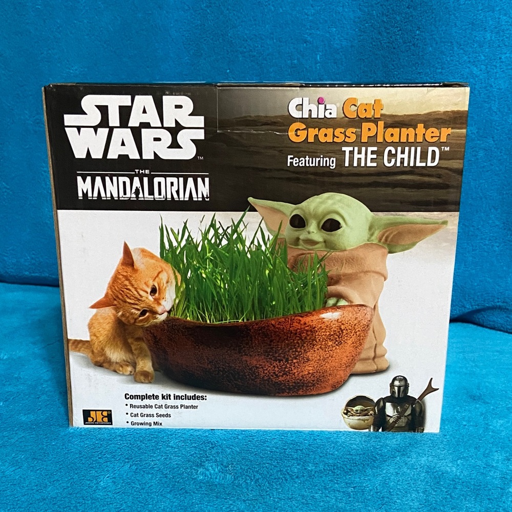 Star Wars The Mandalorian Green and Brown Chia Planter for Cat Grads